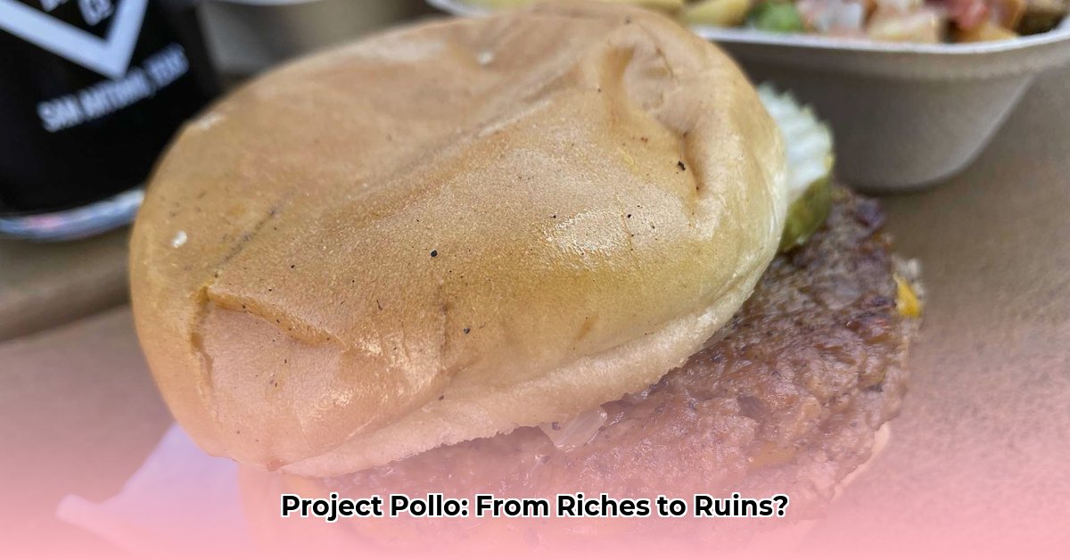 project-pollo-net-worth